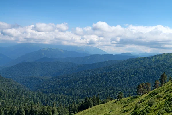 Natursköna landskap med bergskog — Stockfoto