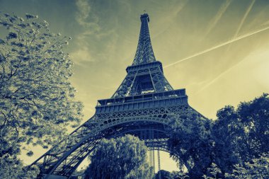 Eyfel Kulesi Manzarası