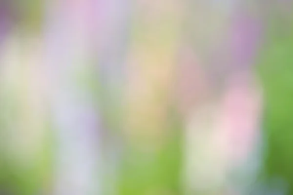 Grön, lila och rosa suddar ut — Stockfoto