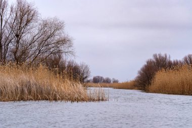 Bastonlu Volga Nehri delta suyunun manzarası