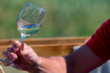 Doğada üzümlerin yanında beyaz şarapla el ele tutuşur.