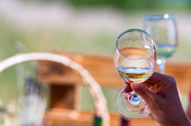 Doğada üzümlerin yanında beyaz şaraplı iki kadeh tutuyor.