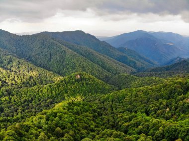 Gökyüzü ve ormanlı güzel dağ manzarası