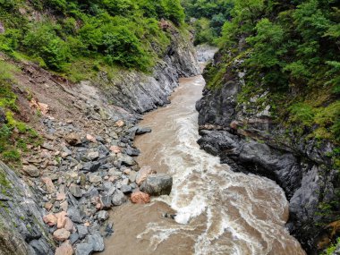 Nehir ve ormanlı güzel dağ manzarası