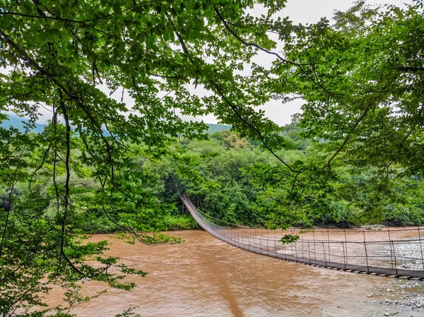 Вузькометалевий пішохідний міст через гірську річку в літньому зеленому лісі — стокове фото