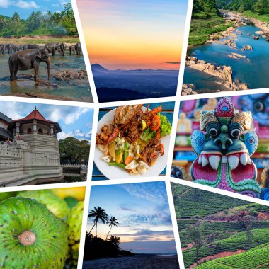 Sri Lanka seyahat kolajı