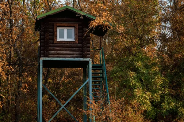 Zblízka lovecké věže v podzimním lese — Stock fotografie