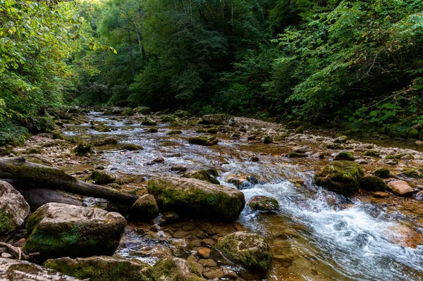 Paisagem com verão rio de montanha e floresta verde — Fotografia de Stock