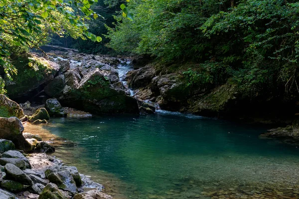 Tájkép nyári hegyi folyóval és zöld erdővel — Stock Fotó