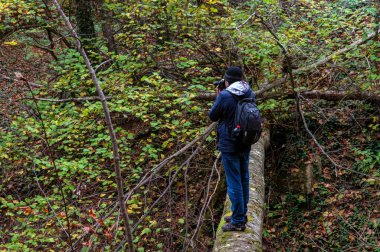 Bulutlu bir günde sonbahar ormanında kameralı bir gezgin.