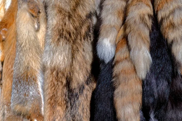 Close-up of fox tail souvenirs at oriental marketplace — Stock Photo, Image