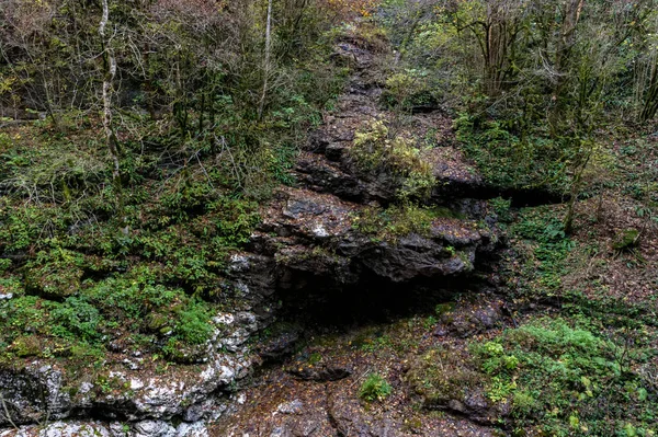 Autumn landscape with little mountain river flowing between mossy stones in deep gorge — Stock Photo, Image