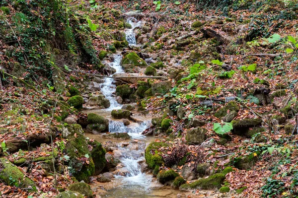 Fjällbäck som rinner mellan fallna träd och mossiga stenar — Stockfoto