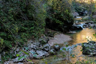 Yosun taşlarının arasından akan dağ akıntısı ile sonbahar manzarası