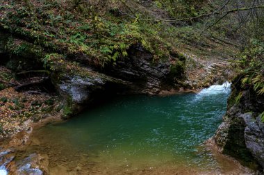 Yosun taşlarının arasından akan dağ akıntısı ile sonbahar manzarası