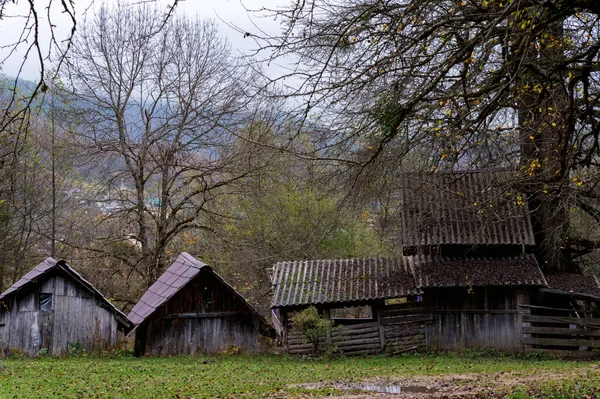 Старі покинуті дерев'яні будинки в російському селі. — стокове фото