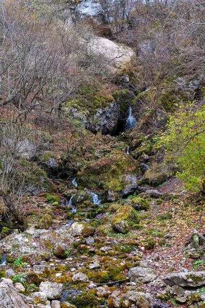 Corriente de montaña que fluye entre árboles caídos y piedras musgosas —  Fotos de Stock