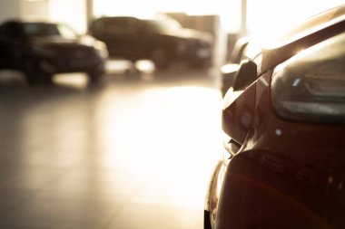 Sunlit Shop Shop 'un yeni arabaları