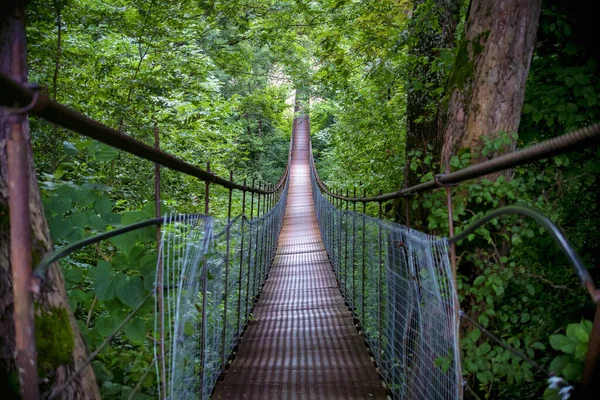 Jembatan kaki logam sempit melintasi hutan pada musim gugur — Stok Foto