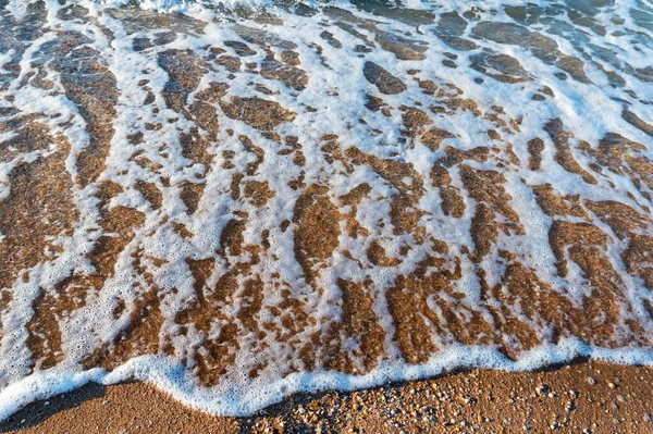 砂浜に海の水の近くが走る. — ストック写真