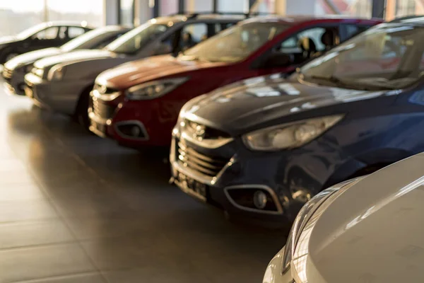 New cars at sunlit dealer showroom close view — Stock Photo, Image