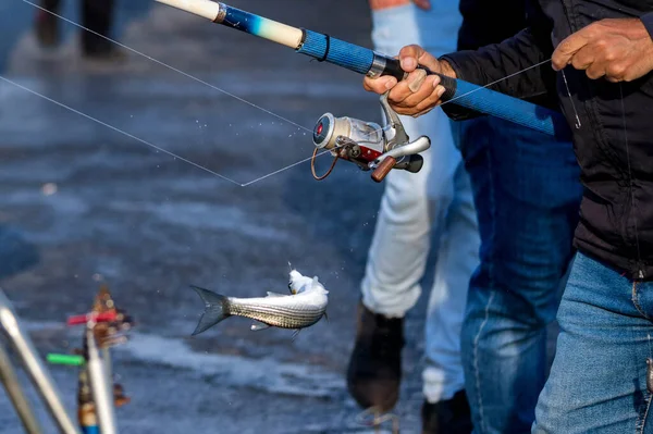 Gros plan pêcheur turc crochets un poisson fraîchement pêché — Photo