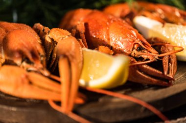 Kırsal ahşap arka planda kaynamış kerevitlere yaklaş