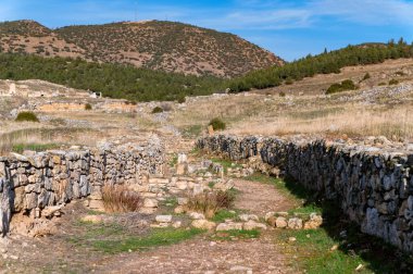 Türkiye 'nin antik Hierapolis kentinin kalıntıları