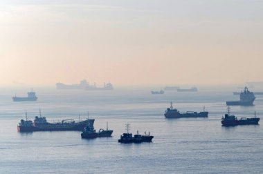 İSTANBUL, TURKEY - 9 ARALIK 2020: boğazdaki kargo gemileri