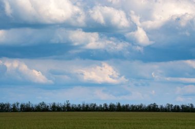 Beyaz kümülüs bulutları ile mavi gökyüzü yeşil koruluğun üzerinde