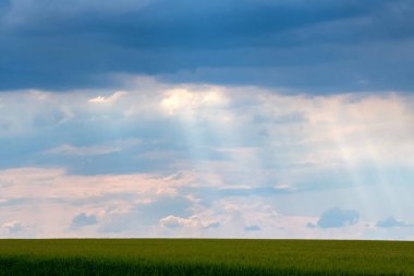 Beyaz kümülüs bulutları ile mavi gökyüzü yeşil alan üzerinde