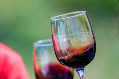 Doğada üzümlerin yanında kırmızı şaraplı iki kadeh tutuyor.