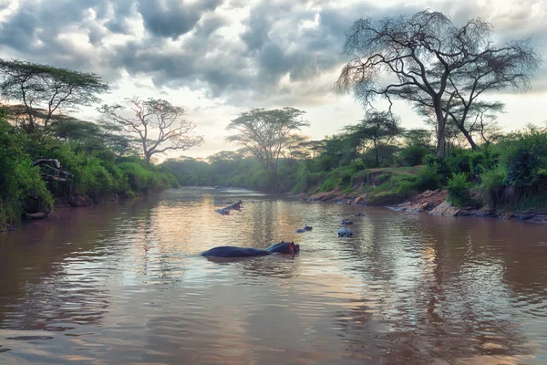 Africká krajina — Stock fotografie