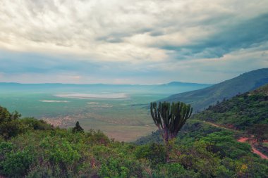 Ngorongoro krateri