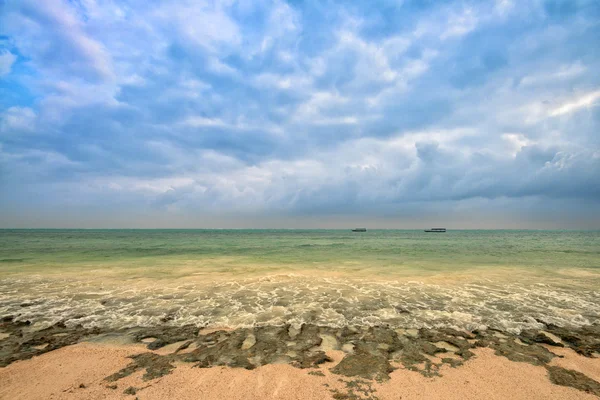 Na wybrzeżu Oceanu — Zdjęcie stockowe