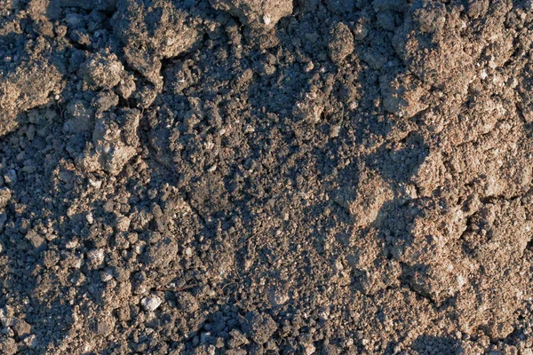 Soil texture — Stock Photo, Image