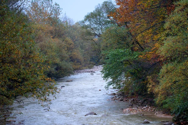 Paisagem de outono de rio montês — Fotografia de Stock