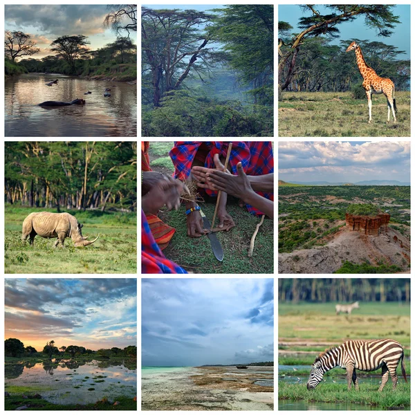 África — Fotografia de Stock