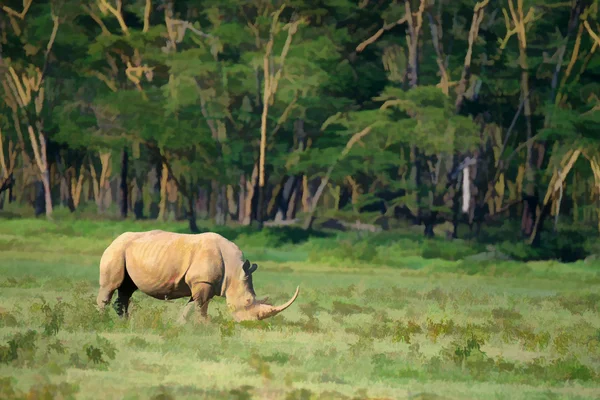 White rhino — Stock Photo, Image