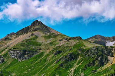 Bıyıklı dağ çayır ve orman manzara