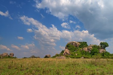 Bıyıklı dağ çayır ve orman manzara