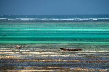 Zanzibar tropikal plaj