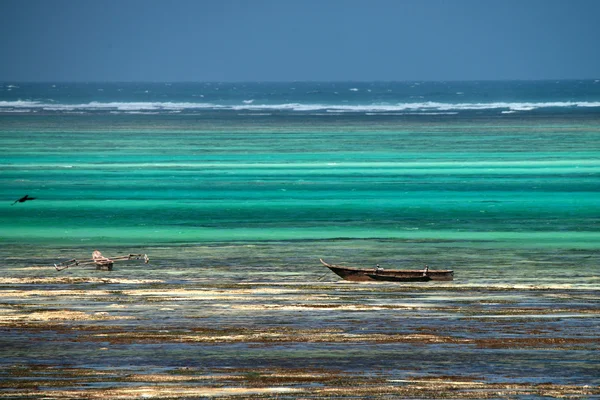 Tropischer Strand von Sansibar — Stockfoto