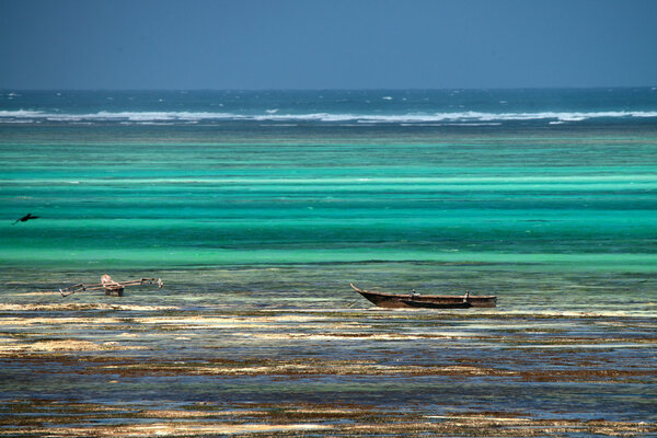 Tropical beach of Zanzibar