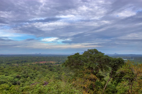 Sri Lanka landscape — Stock Photo, Image