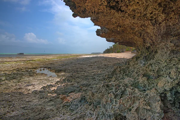 Sansibars Küste nach Ebbe — Stockfoto