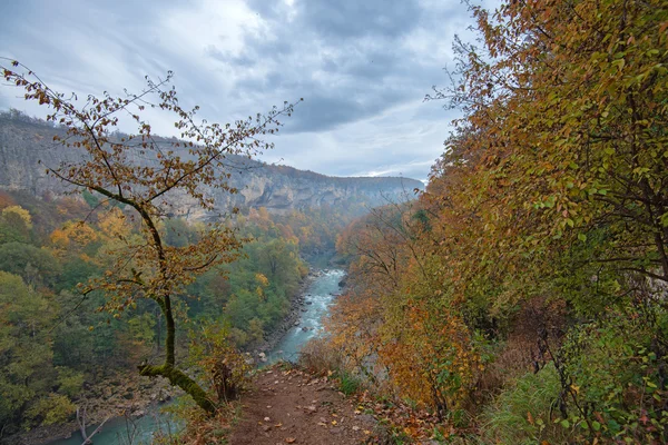 Гора Річковий краєвид — стокове фото