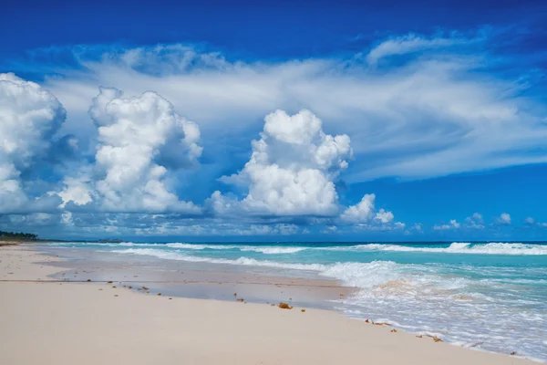 Belle journée sur une plage tropicale — Photo