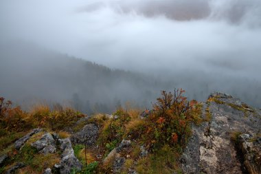 Scenic view of foggy mountains