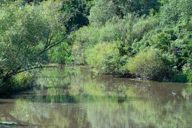 Bozkır ve nehir manzara